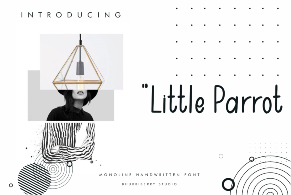 Little Parrot: A Script Font for Creative Crafters and Designers