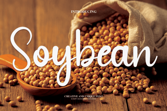 Soybean: A Modern Script Font for Scroll-Stopping Brand Content