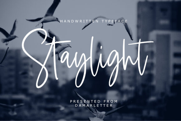 Staylight: The Script Font That Elevates Your Brand’s Visual Story